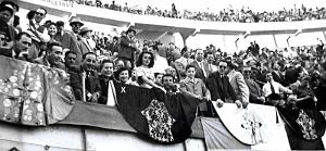 1176- Oran - Eckmulh - Les Arenes 2 - 1954